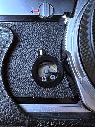 Olympus OM-1 + Zuiko 50mm 1.8