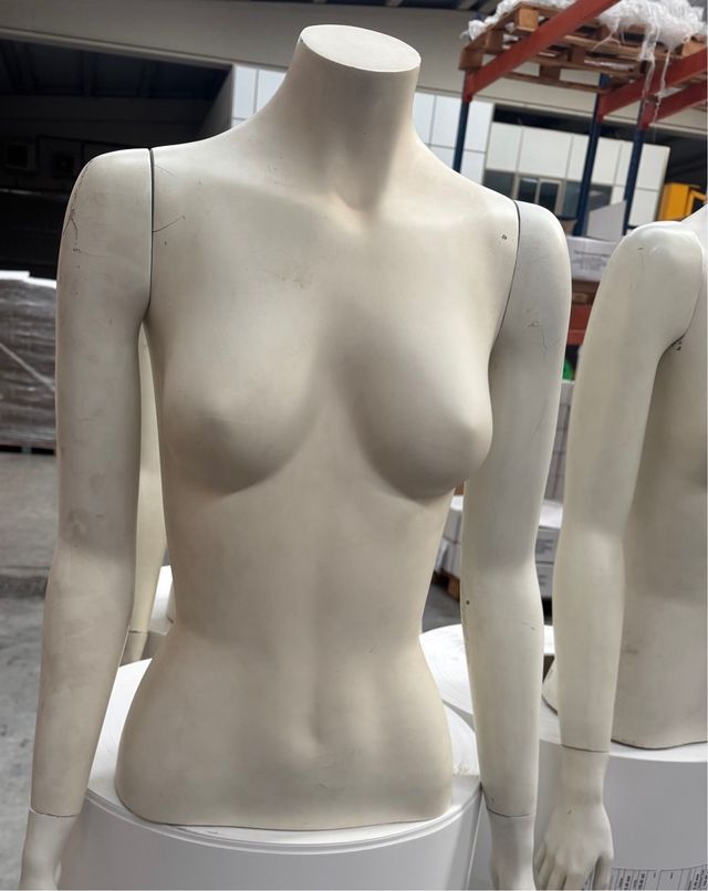 Lote 3 maniquíes torso mujer