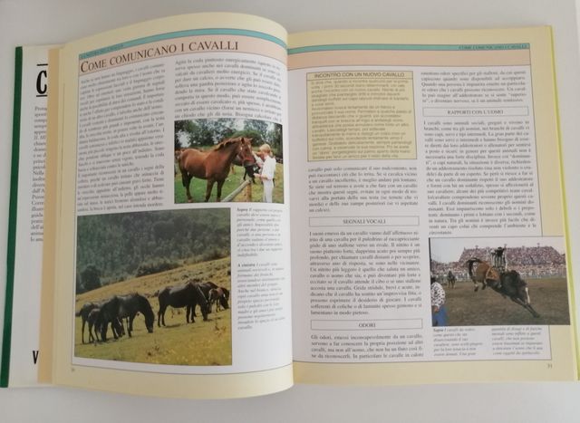 Il mio cavallo – Susan McBane (Vallardi, 1995)