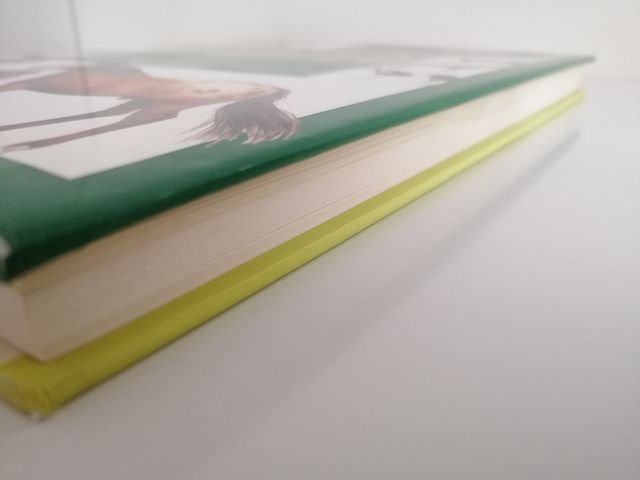 Il mio cavallo – Susan McBane (Vallardi, 1995)