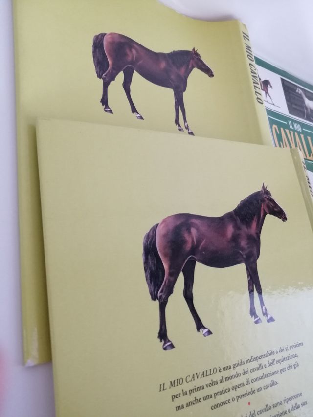 Il mio cavallo – Susan McBane (Vallardi, 1995)