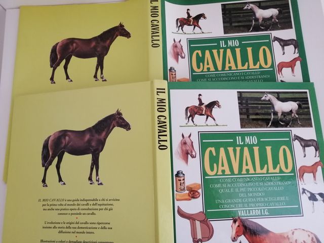 Il mio cavallo – Susan McBane (Vallardi, 1995)