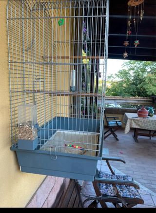 Gabbia per pappagalli grandezza 73x53x33, usata pe