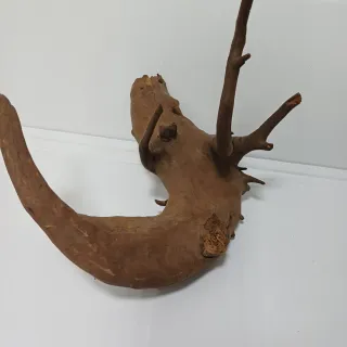 Madera natural driftwood decorativa