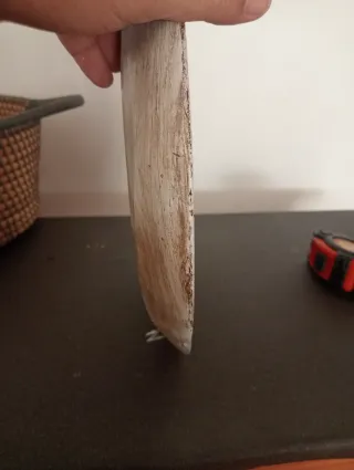 Gran Plato antiguo estuco flores decorativas