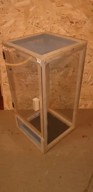 Teca terrario insetti stecco rettili base 33x33cm