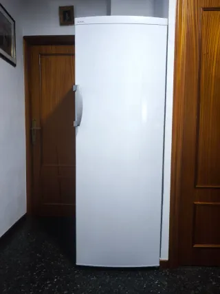 Congelador Saivod vertical