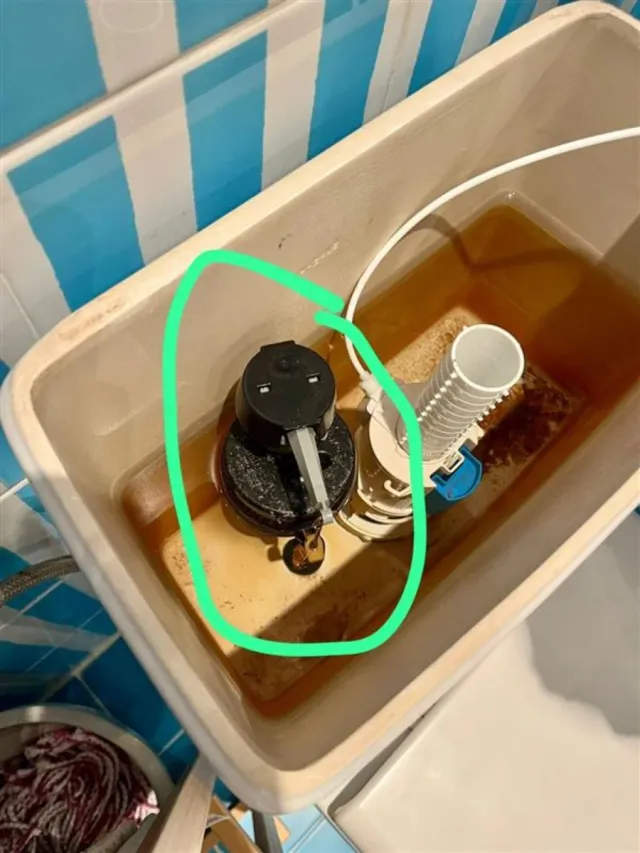 Trabajos de fontanería lampista