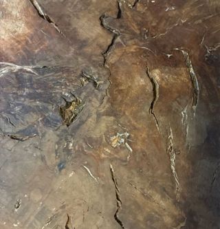 Mesa centro raíz encina madera y metal