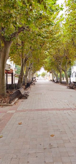 Casa adosada en venta en Carcaixent