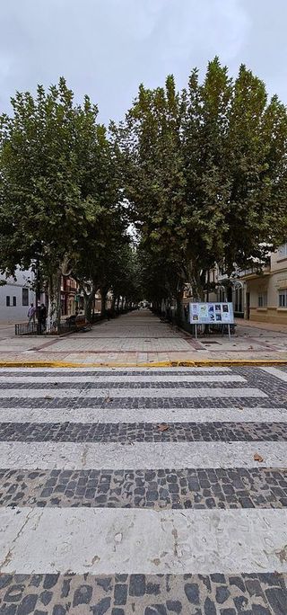 Casa adosada en venta en Carcaixent