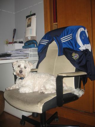 Cámara Canon IXUS 750 Plata