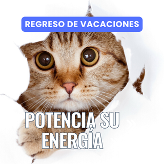 Limpieza energética