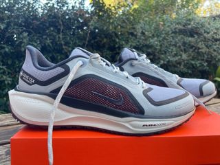 Nike Pegasus 41 GTX Talla 43