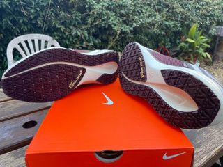 Nike Pegasus 41 GTX Talla 43