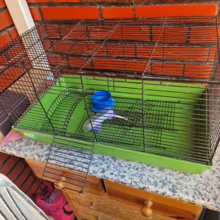 Jaula Ica grande con accesorios