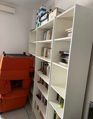 Portes y Mudanzas en General