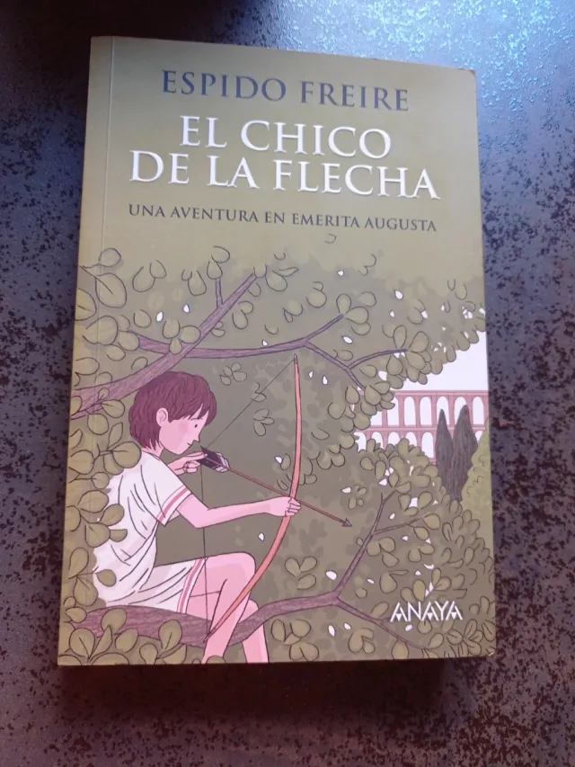 El chico de la flecha (Spanish Edition)