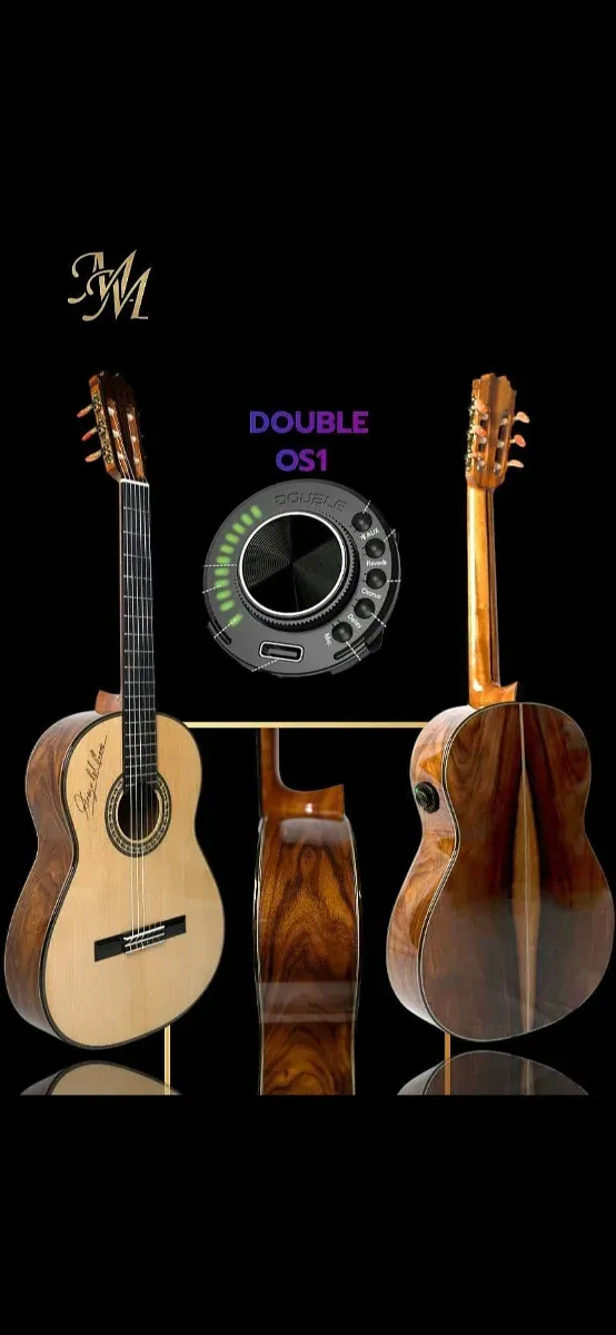 OFERTA Guitarra Flamenca