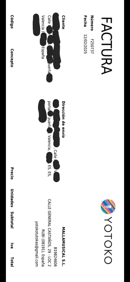 OFERTA Guitarra Flamenca