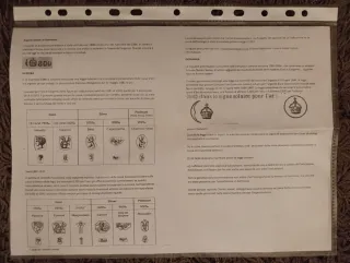 Orologio vintage fine '800 / inizio '900