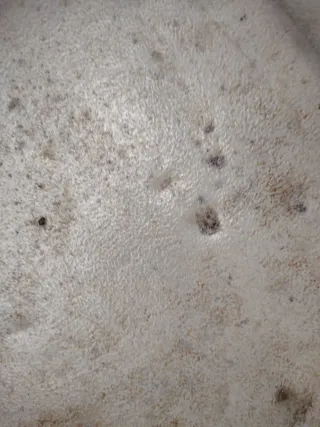 Congelador vertical Daewoo