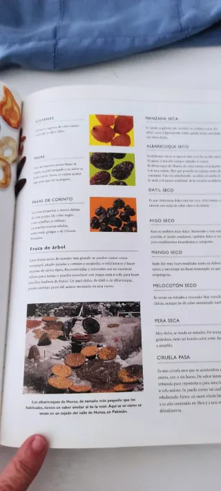 El Gran Libro De La Cocina Vegetariana: guia de...