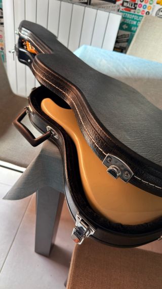 Guitarra Eléctrica SX