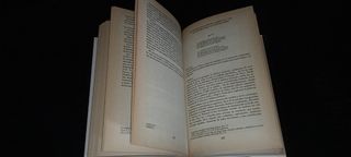 Nostradamus historiador y profeta