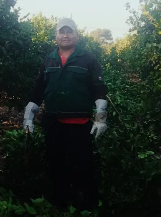 Podador