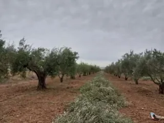 Podador