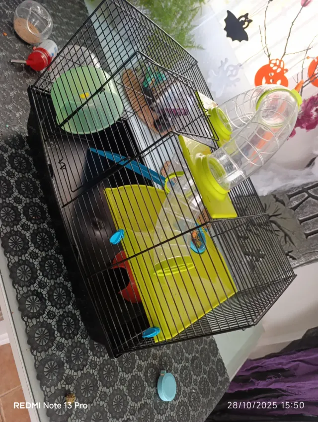 Jaula Hámster +  Accesorios