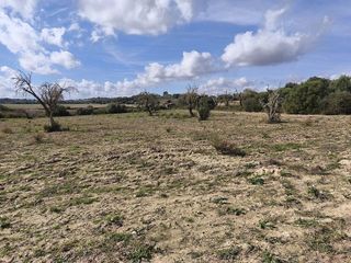 Terreno en venta en Santa Margalida en Santa Margalida