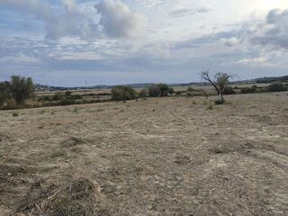 Terreno en venta en Santa Margalida en Santa Margalida