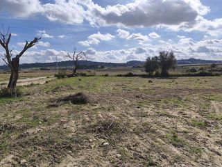 Terreno en venta en Santa Margalida en Santa Margalida