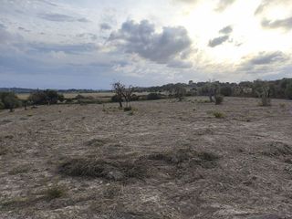 Terreno en venta en Santa Margalida en Santa Margalida