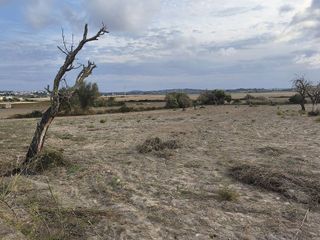 Terreno en venta en Santa Margalida en Santa Margalida