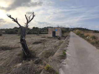 Terreno en venta en Santa Margalida en Santa Margalida