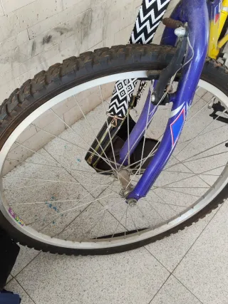 Bicicleta de Montaña T-MAN