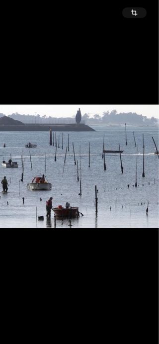 Parque de cultivo de almejas en Carril
