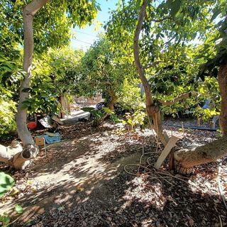 Terreno en venta en Güímar