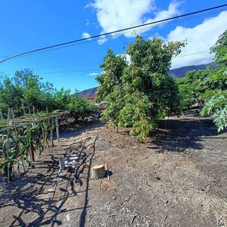 Terreno en venta en Güímar