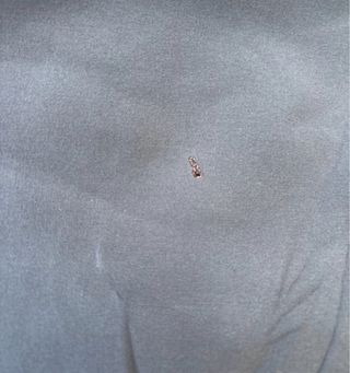 Giacca The North Face grigio/blu