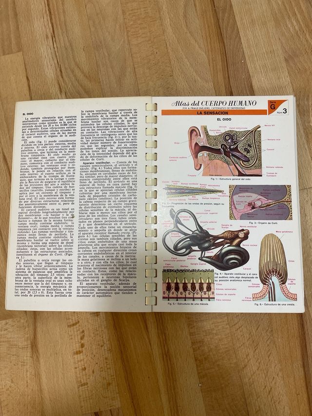atlas del cuerpo humano 1971