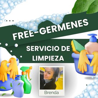Limpieza del hogar, puntual y responsable