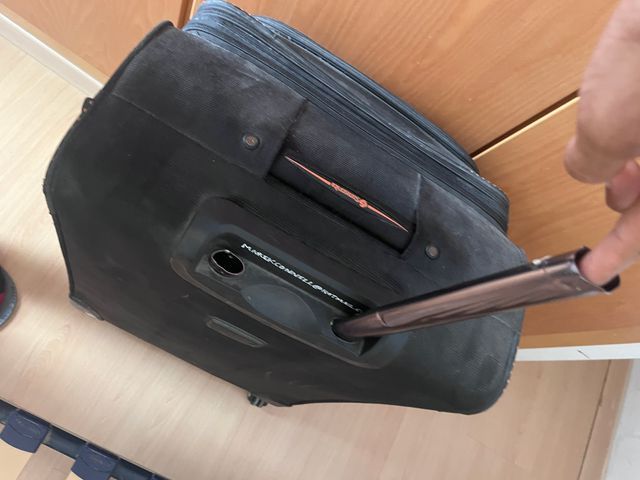 Maleta Grande Samsonite Freeform Spinner