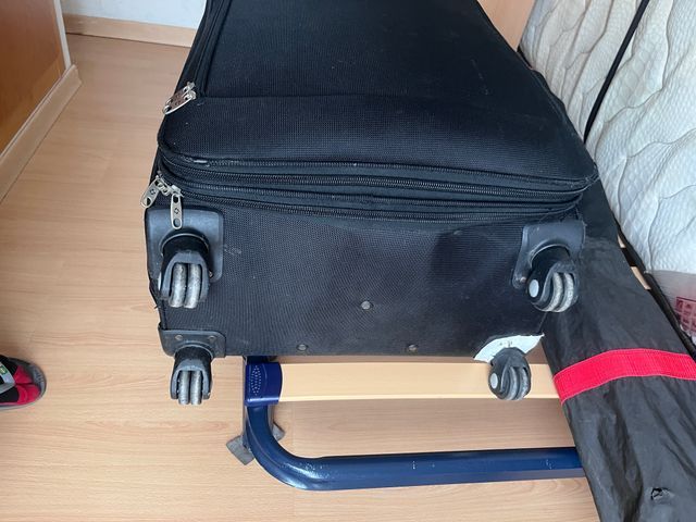 Maleta Grande Samsonite Freeform Spinner