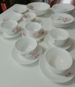 Set di stoviglie antiche con delicato design floreale