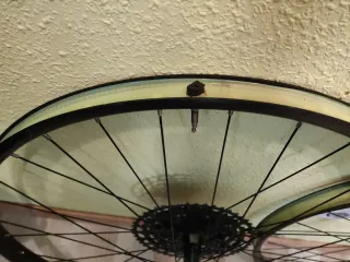 Ruedas 29 Boost +Cassette SX Eagle 12v,30 mm ancho