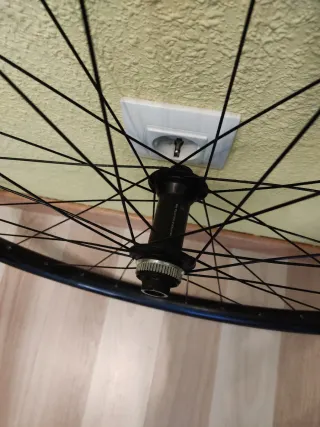 Rueda 29 delantera Boost 30 mm